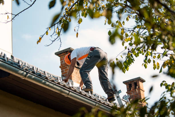 Best Storm Damage Roof Repair  in Concord, AL